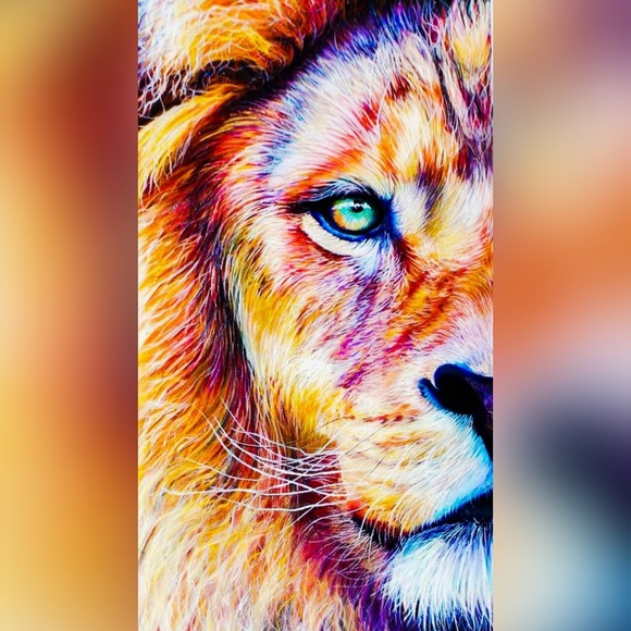 Meet your Posher, Clarity & Frosty Little Divo🐾💙 - Picture 16 of 16